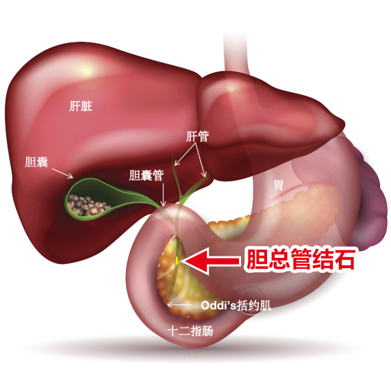 微信图片_20240805082236.png 微信图片_20240805082236.png