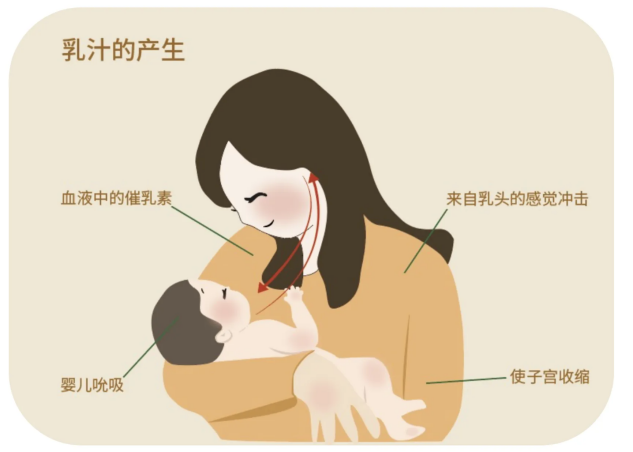 微信图片_2025-08-07_171651_253.png 微信图片_2025-08-07_171651_253.png