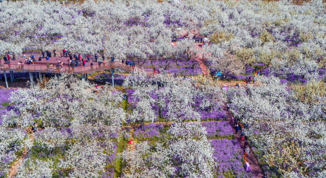 微信图片_2026-04-09_090325_443.png 微信图片_2026-04-09_090325_443.png