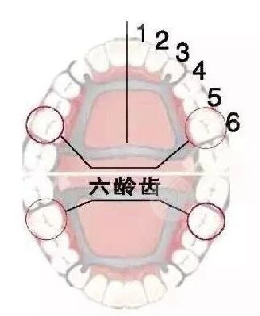 微信图片_2026-06-17_091030_192.jpg